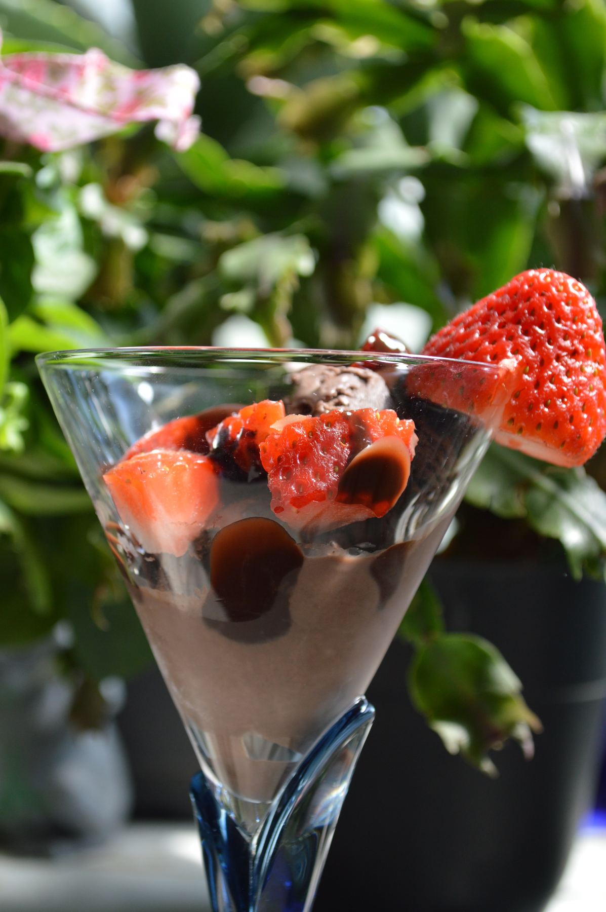 A glass of strawberries and chocolate on a table among leaves