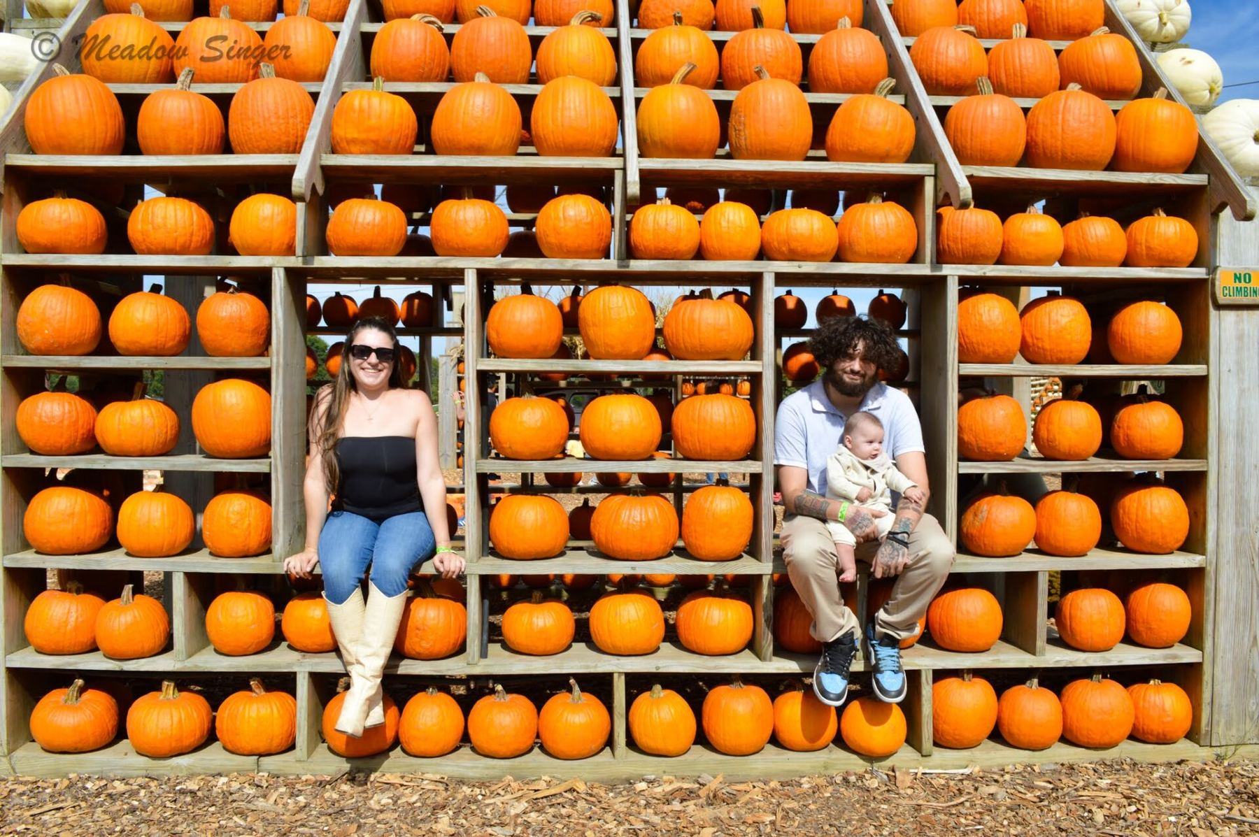 A couple sitting on a wall of pumpkins at a farm stand