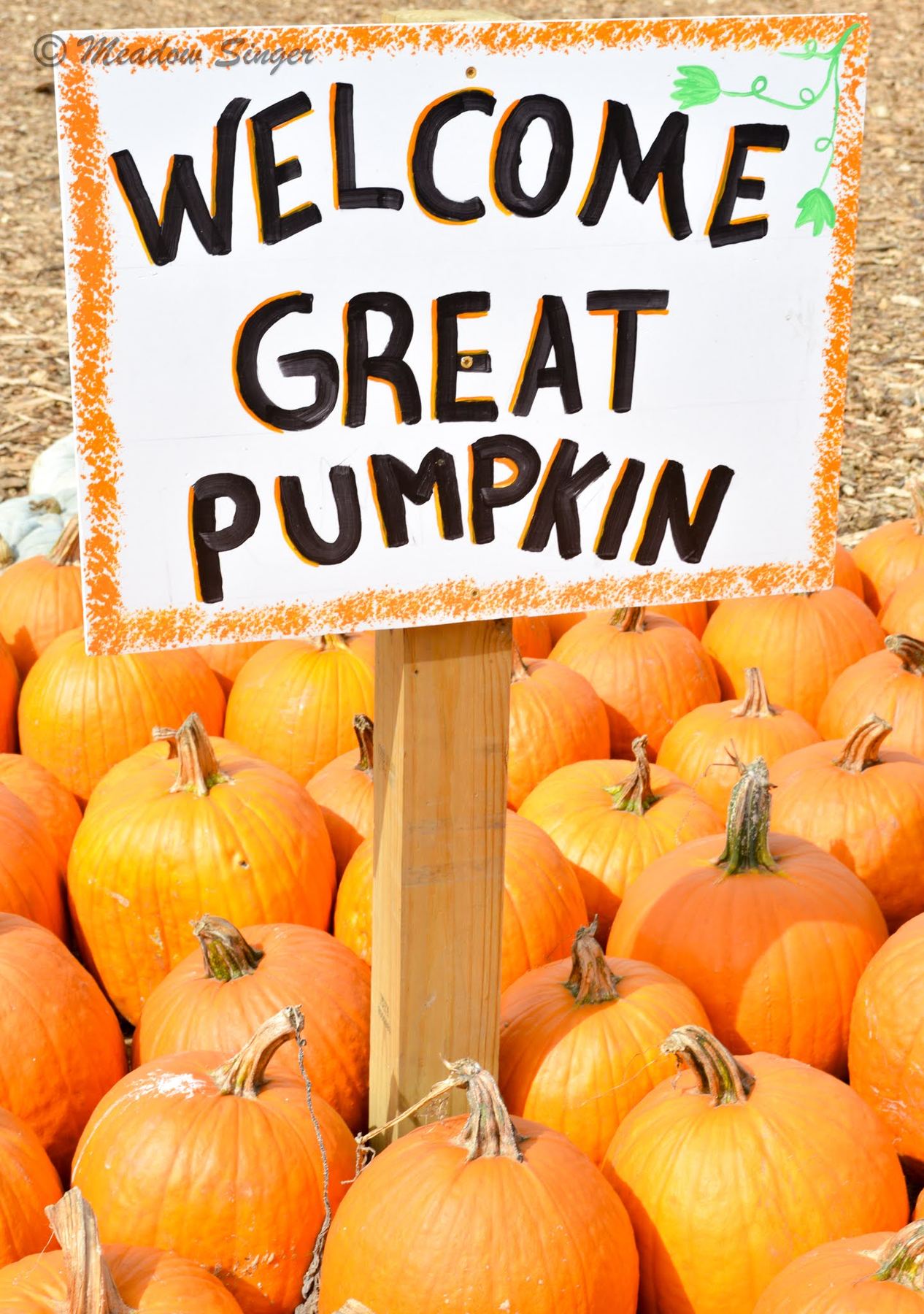 A hand painted Welcome Great Pumpkin sign above a pile of pumpkins